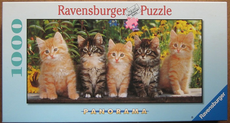 Five kittens, three orange and two tabby, sitting in a row in a garden setting.