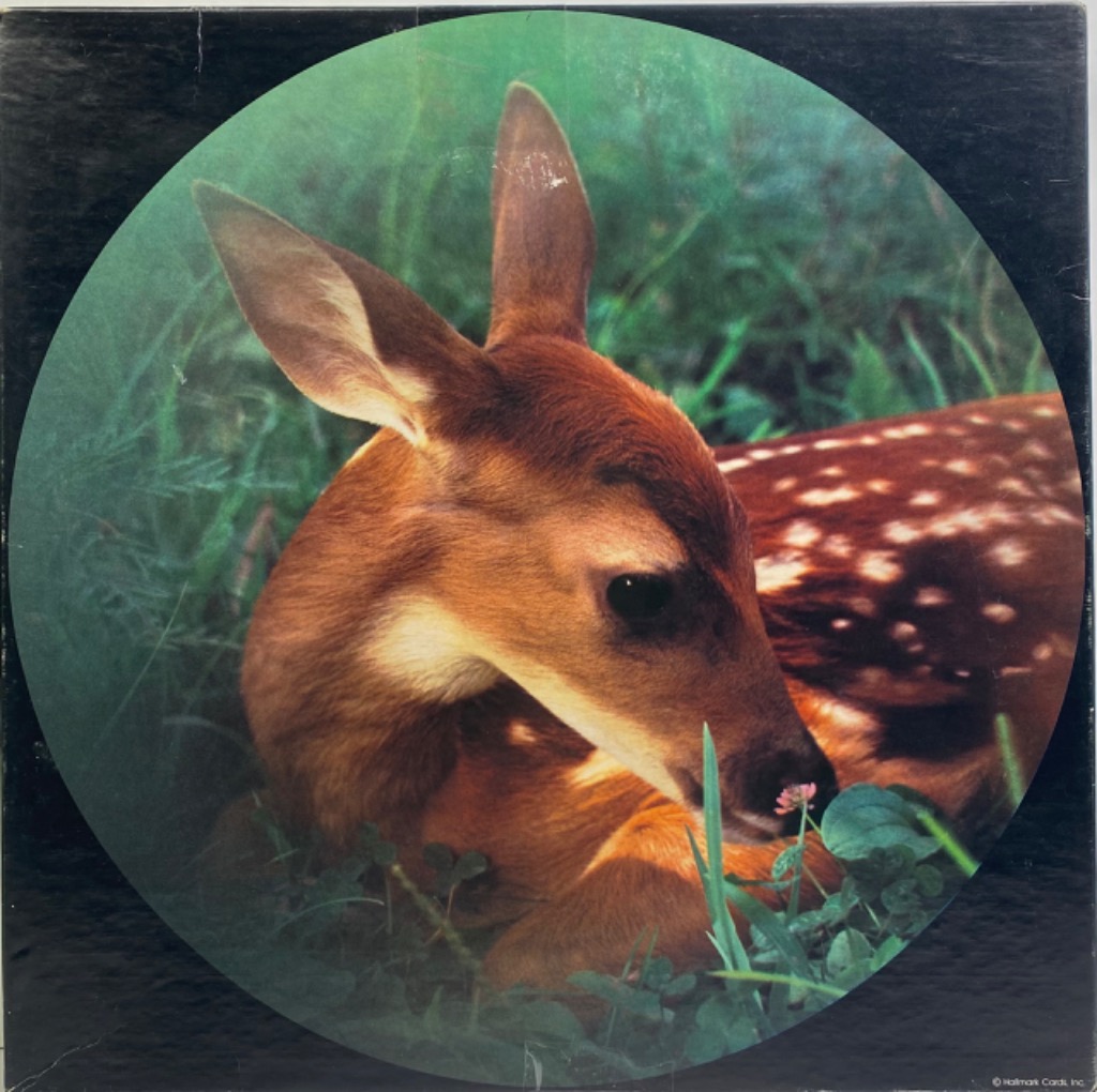 A close-up portrait of a young deer fawn lying in green grass, framed within a circular vignette.