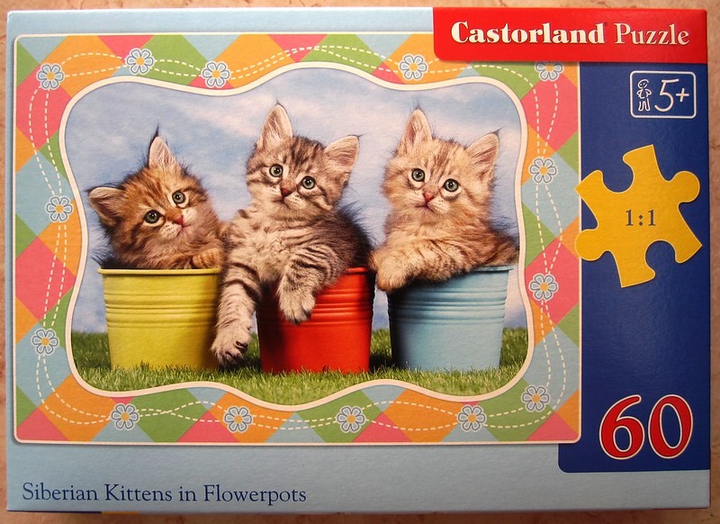 Three fluffy kittens peeking out from colourful garden pots in a field.