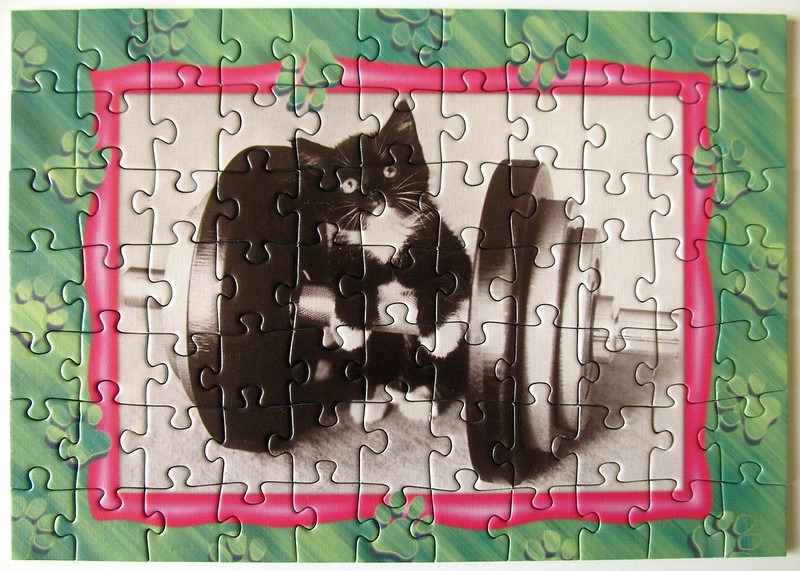 A black and white kitten sitting behind a heavy dumbbell, framed by a border of green paw prints.