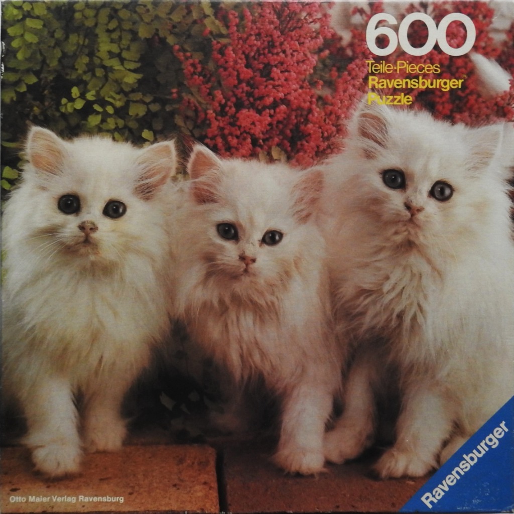 Three fluffy white kittens sitting side by side in a garden setting