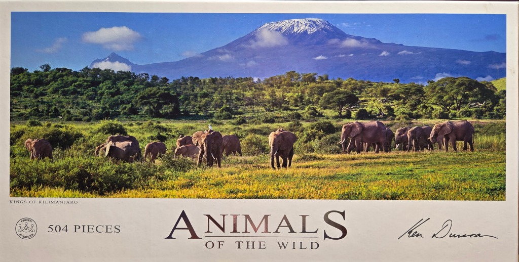 A herd of elephants walking through a grassy African savanna with Mount Kilimanjaro in the background.