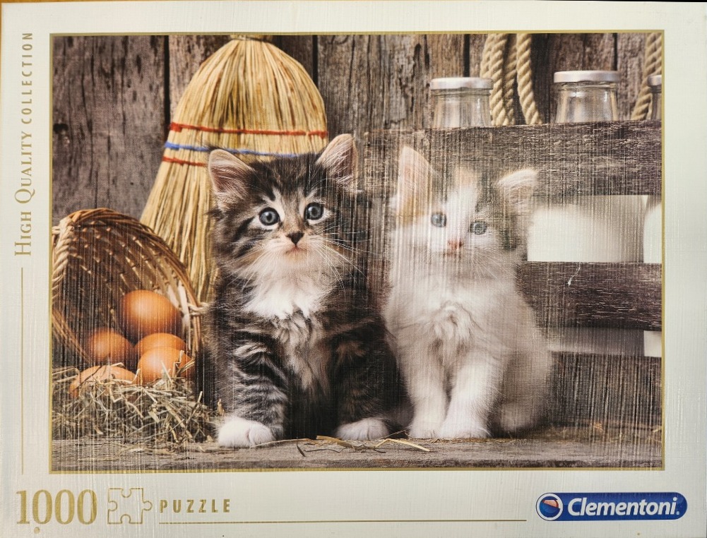 Two fluffy kittens, one grey tabby and one white and tortoiseshell, sitting in a rustic barn setting with eggs and a broom.