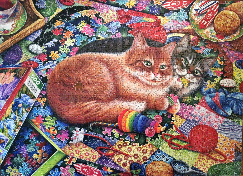 Two cats resting on a vibrant, quilt-like patterned background surrounded by tea and biscuits.