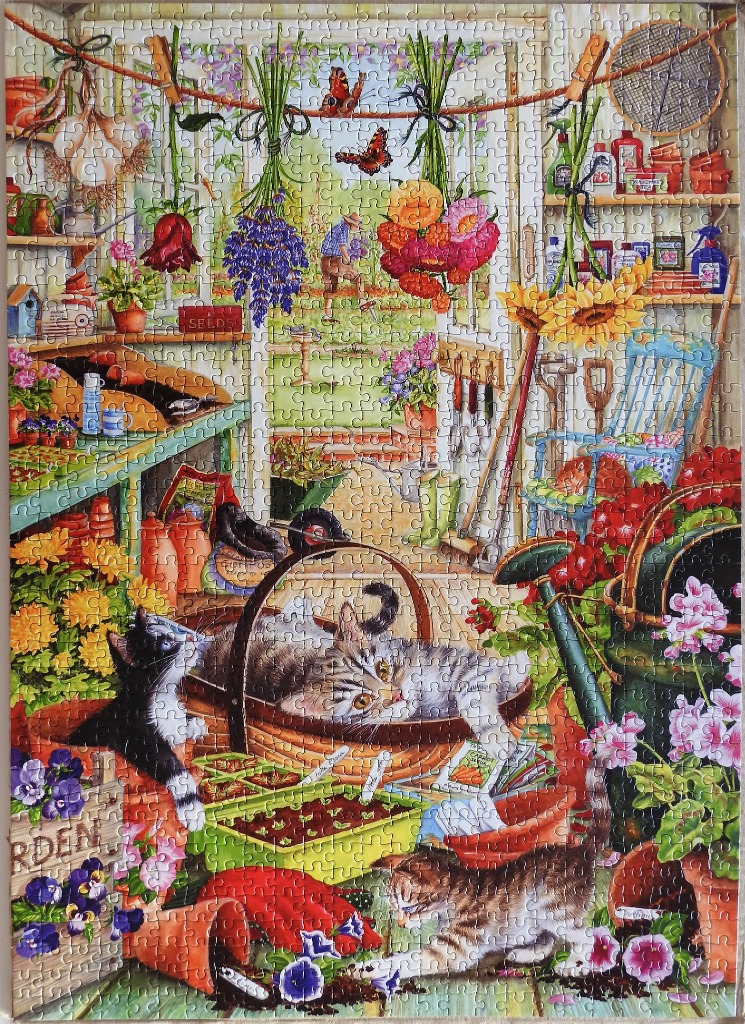 Three cats playing in a sun-drenched potting shed filled with garden tools, plants, and dried flowers.