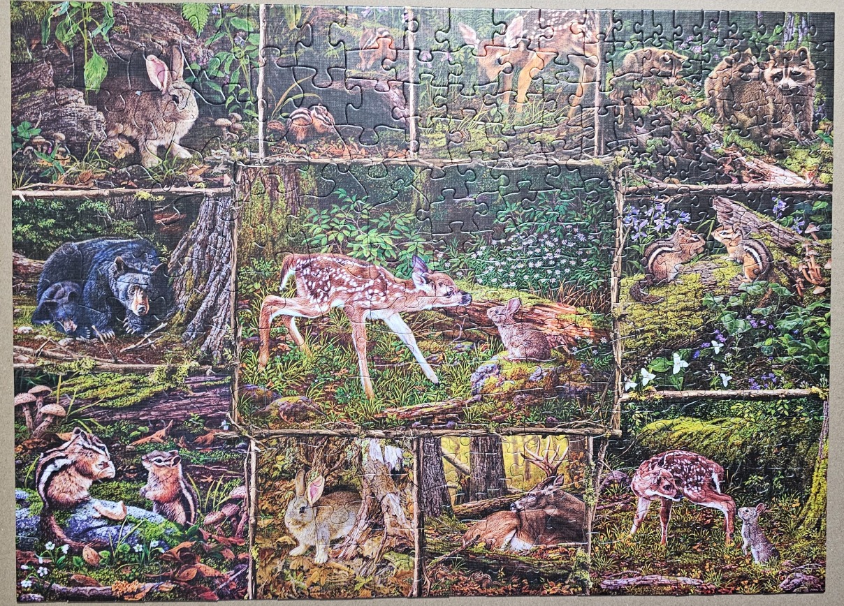 A montage of North American wildlife in a forest setting featuring deer, rabbits, raccoons, and chipmunks.