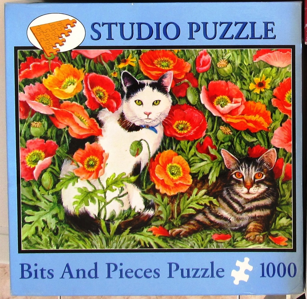 Two cats sitting in a field of vibrant red and orange poppy flowers.