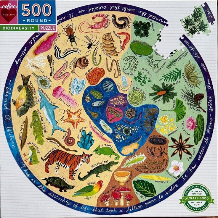 A circular scientific illustration depicting a tree of life with various plants, animals, and microorganisms.