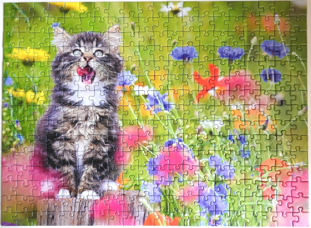 A fluffy tabby kitten licking its nose while sitting on a wooden post in a vibrant meadow of wildflowers.