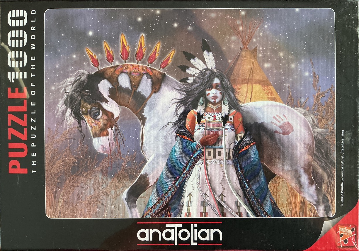 Digital art of a young Indigenous woman standing next to a pinto horse in front of a tipi under a starry sky.