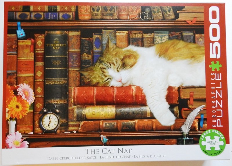 A ginger and white cat sleeping on top of a stack of antique books in front of a library shelf.