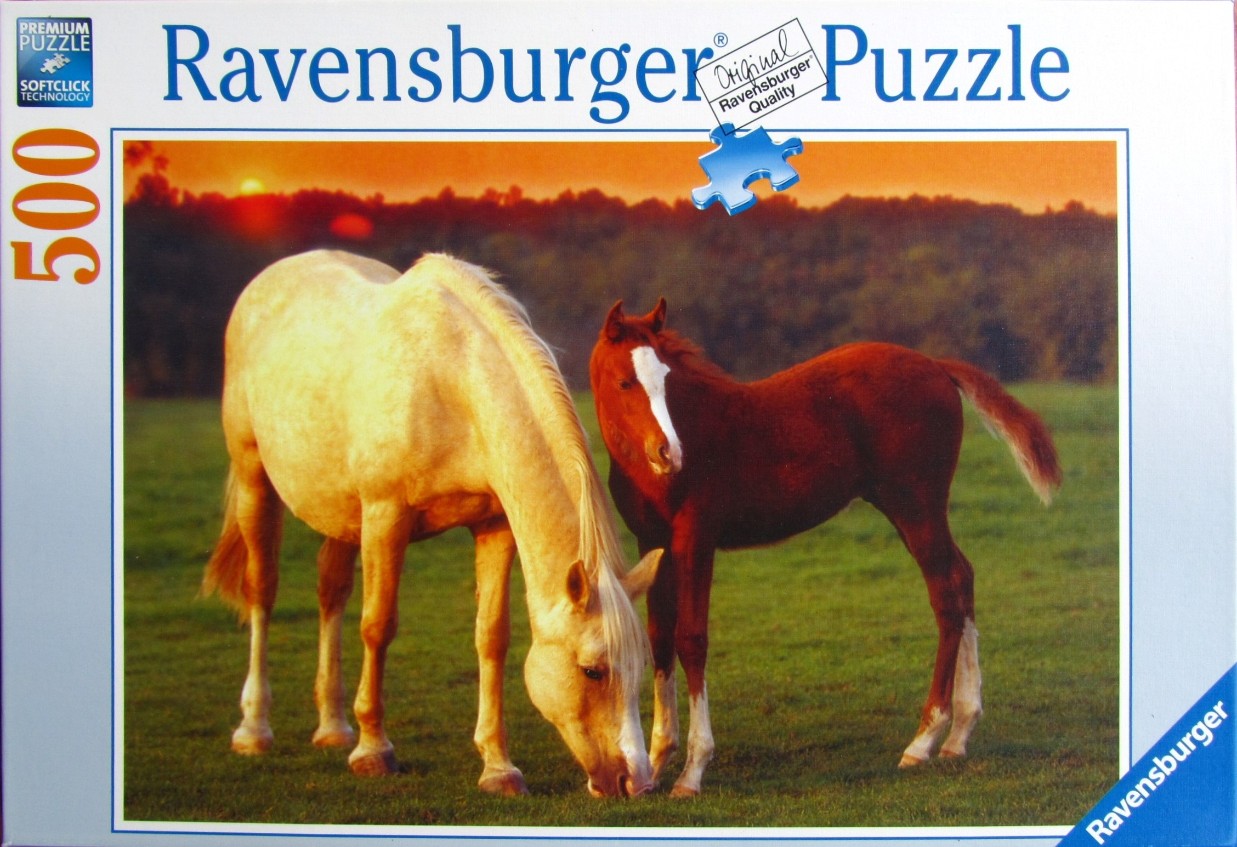 A pale horse and a chestnut foal standing in a green meadow at sunset.