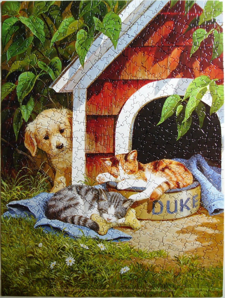 A puppy watching a sleeping cat and kitten in front of a red doghouse