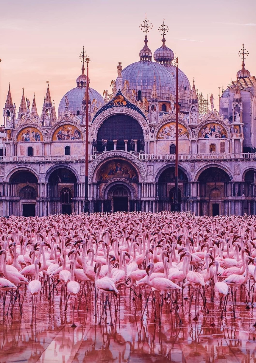 A massive flock of pink flamingos standing in a flooded plaza in front of an ornate Byzantine-style basilica at sunset.