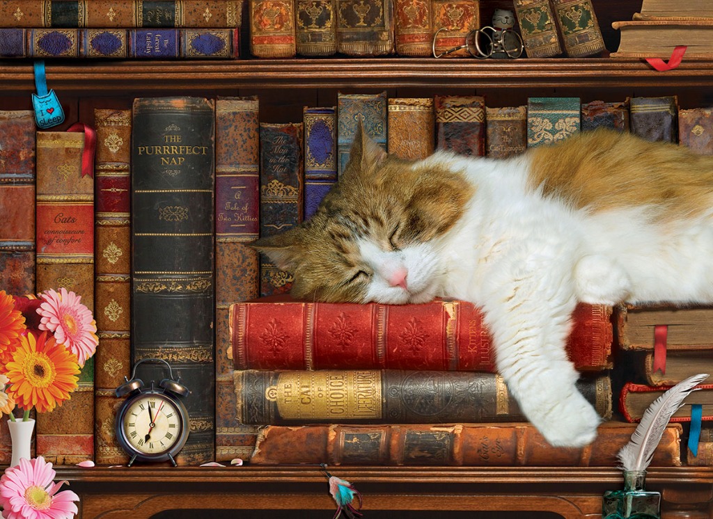 A fluffy ginger and white cat sleeping peacefully on a stack of old leather-bound books on a wooden shelf.