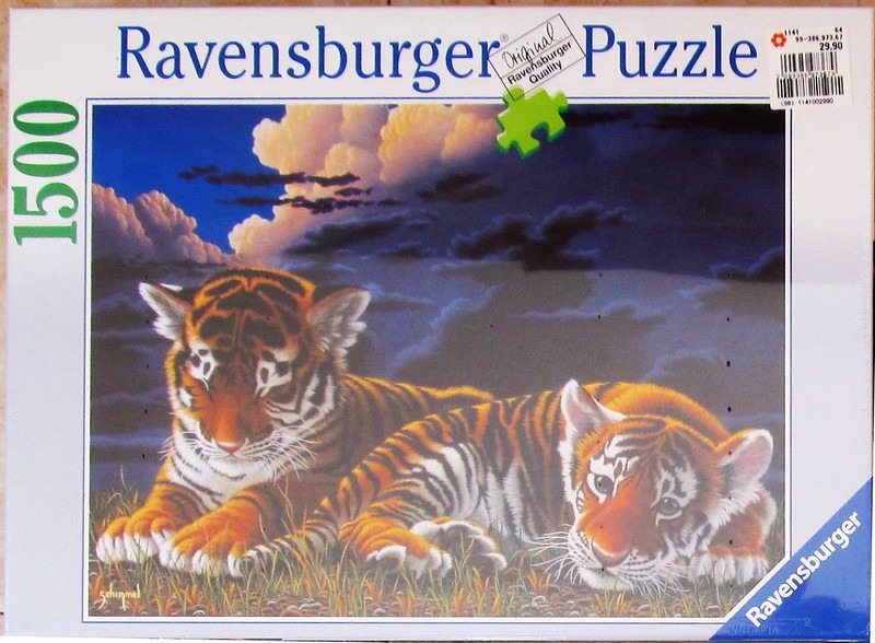 Two tiger cubs resting in tall grass under a dramatic twilight sky.