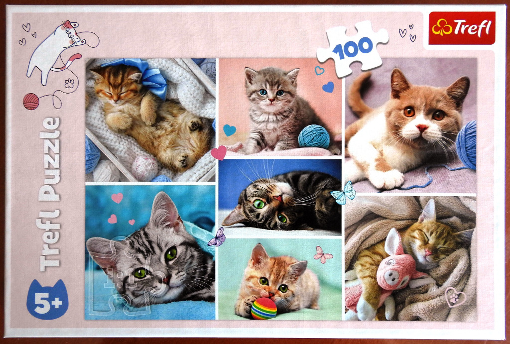 A collage of six adorable kittens in various playful and sleeping poses with soft colors and decorative graphics.