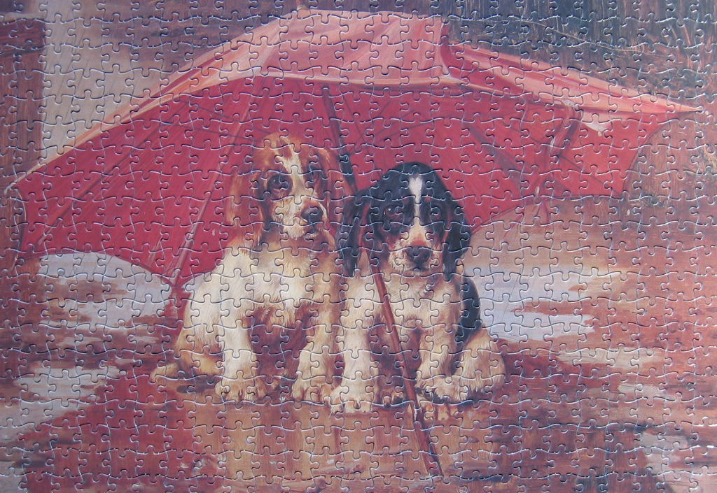 Two puppies sitting together under a large red umbrella in the rain.