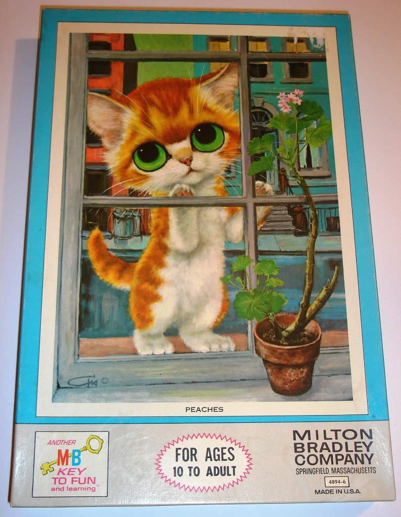 Illustration of an orange and white kitten with large green eyes looking through a window at a potted plant.