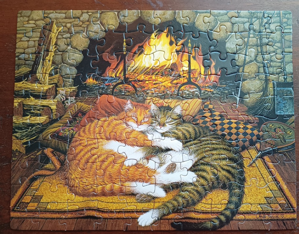 Two cats cuddling on a rug in front of a warm fireplace.