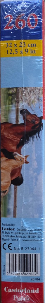 Mare and Foal
