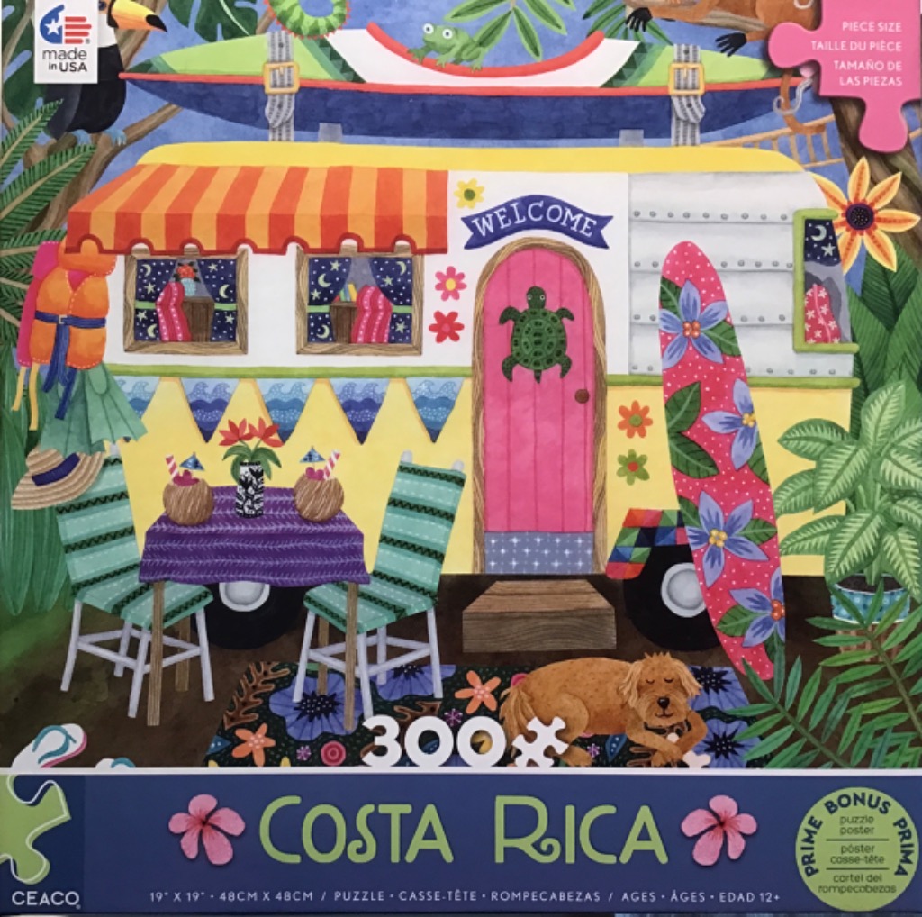 Illustration of a colorful vintage camper surrounded by tropical plants, a surfboard, and a pet dog.