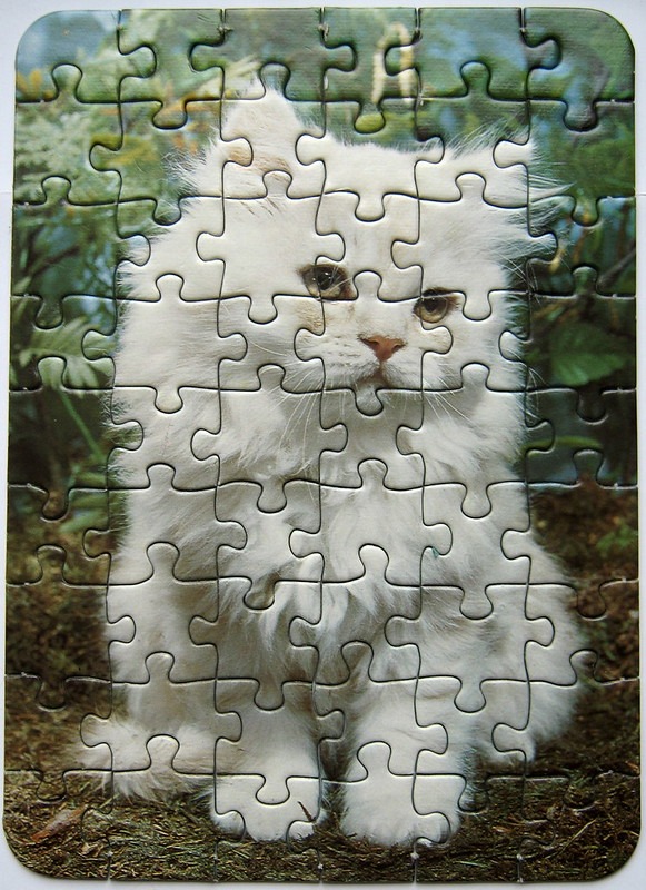 A close-up portrait of a fluffy white Persian-style cat sitting in a garden setting.