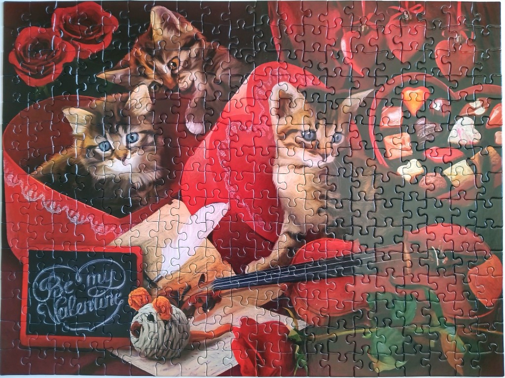 Three kittens among Valentine's Day themed objects including roses, hearts, and a violin.