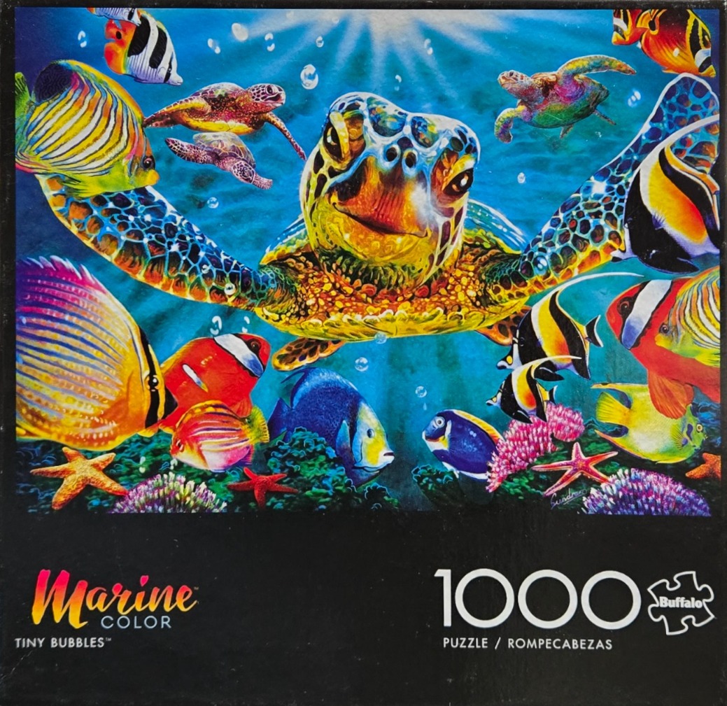 Vibrant illustration of a sea turtle swimming amongst tropical fish and coral reefs.