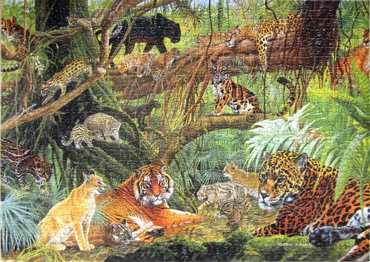 A lush rainforest scene featuring many different types of wild cats including a tiger, jaguar, and smaller felines.