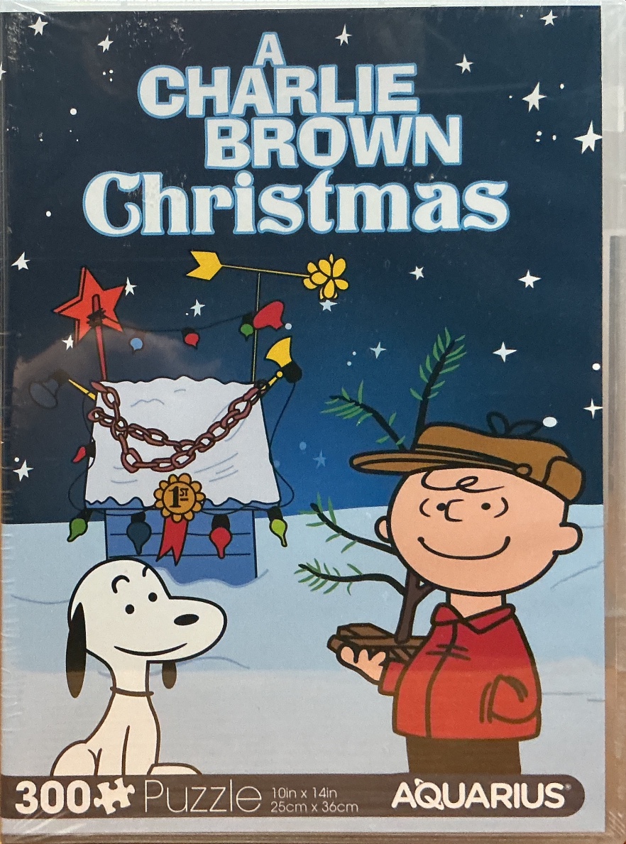 Charlie Brown and Snoopy standing in the snow near a decorated doghouse under a starry night sky.