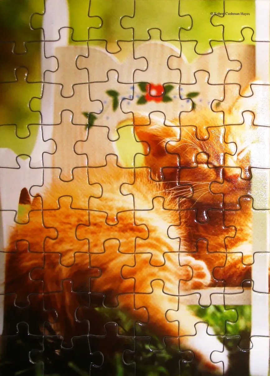 A close-up illustration of a fluffy ginger cat sleeping in a garden setting.