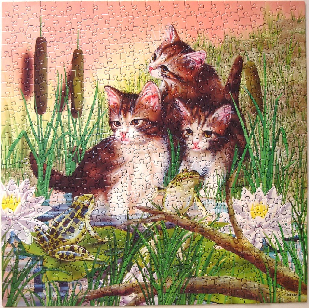 Three kittens sitting in marsh grass near frogs and water lilies at sunset.