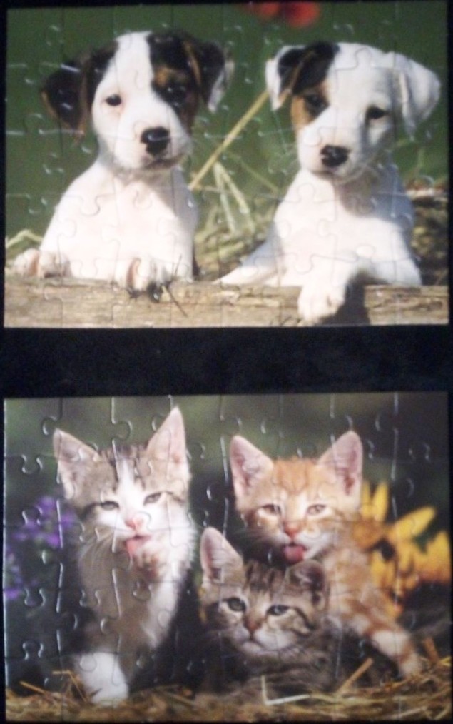Two Jack Russell puppies above three kittens resting in straw in a vertical split-view image.