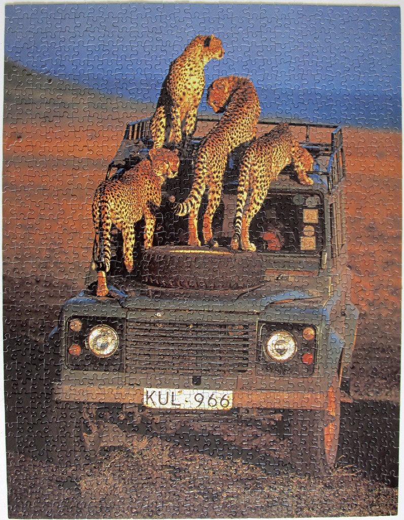 Four cheetahs standing on top of an olive green off-road vehicle in the savannah.