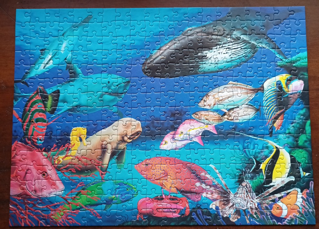 Underwater scene featuring a humpback whale, shark, sea creatures, and vibrant tropical fish.