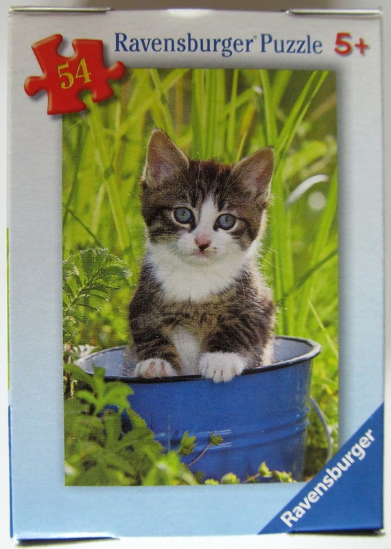 A close-up photograph of a fluffy tabby kitten sitting inside a bright blue bucket, surrounded by lush green grass.