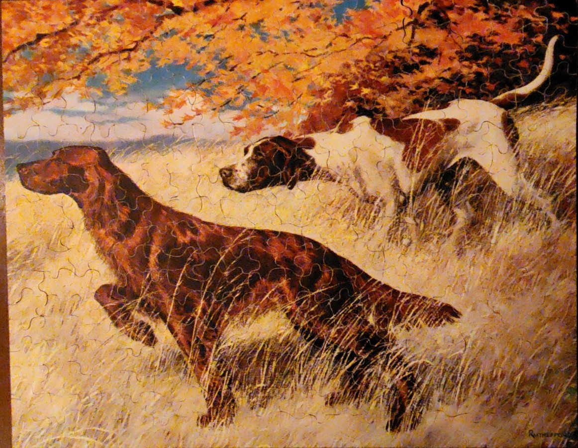 Two hunting dogs in a grassy field during autumn