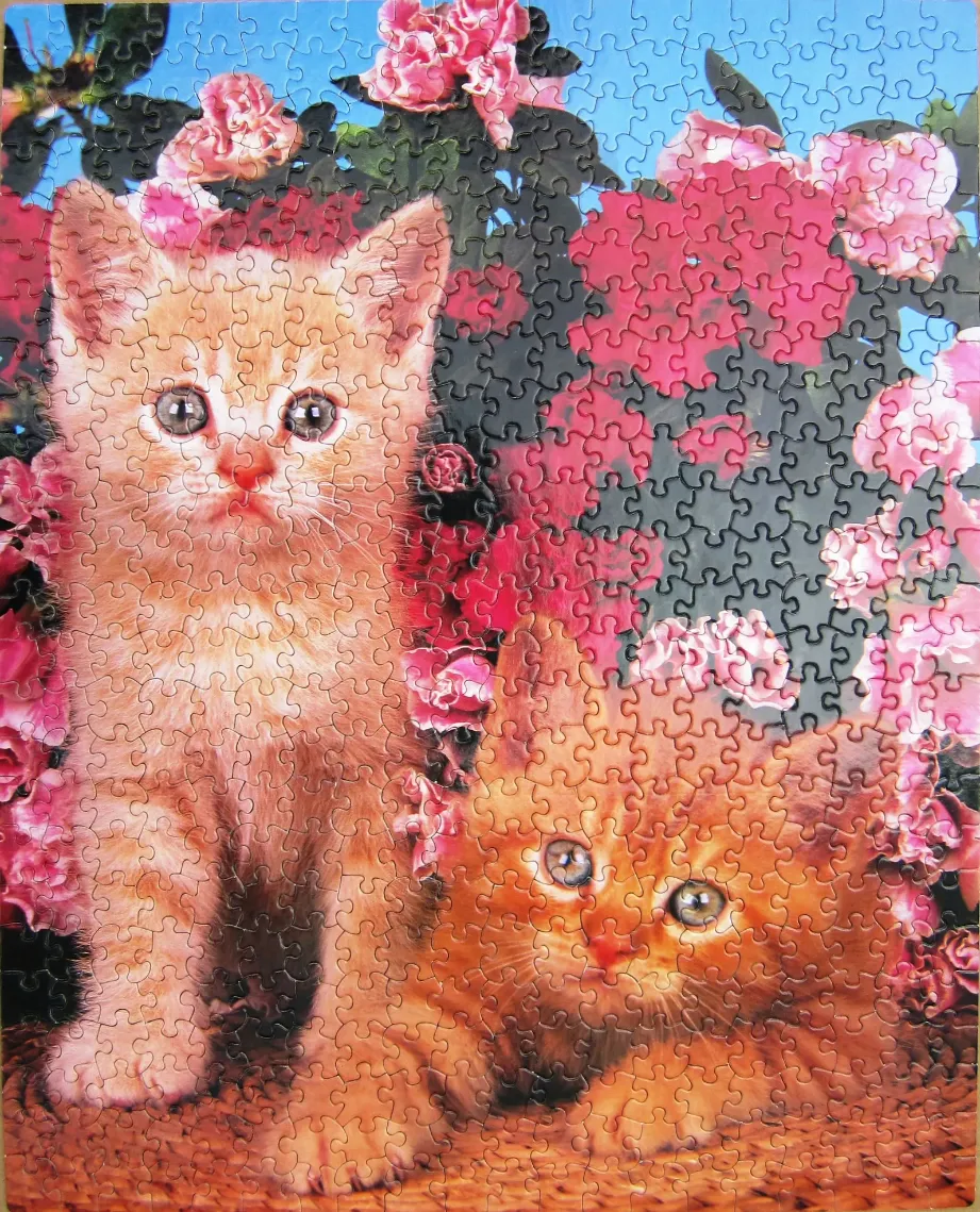 Two ginger kittens sitting in a vibrant garden of bright pink flowers under a clear blue sky.