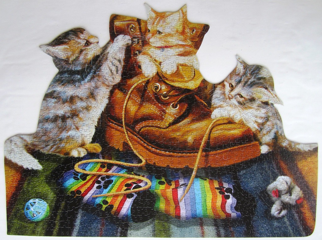 Three kittens playing with a leather work boot and rainbow socks