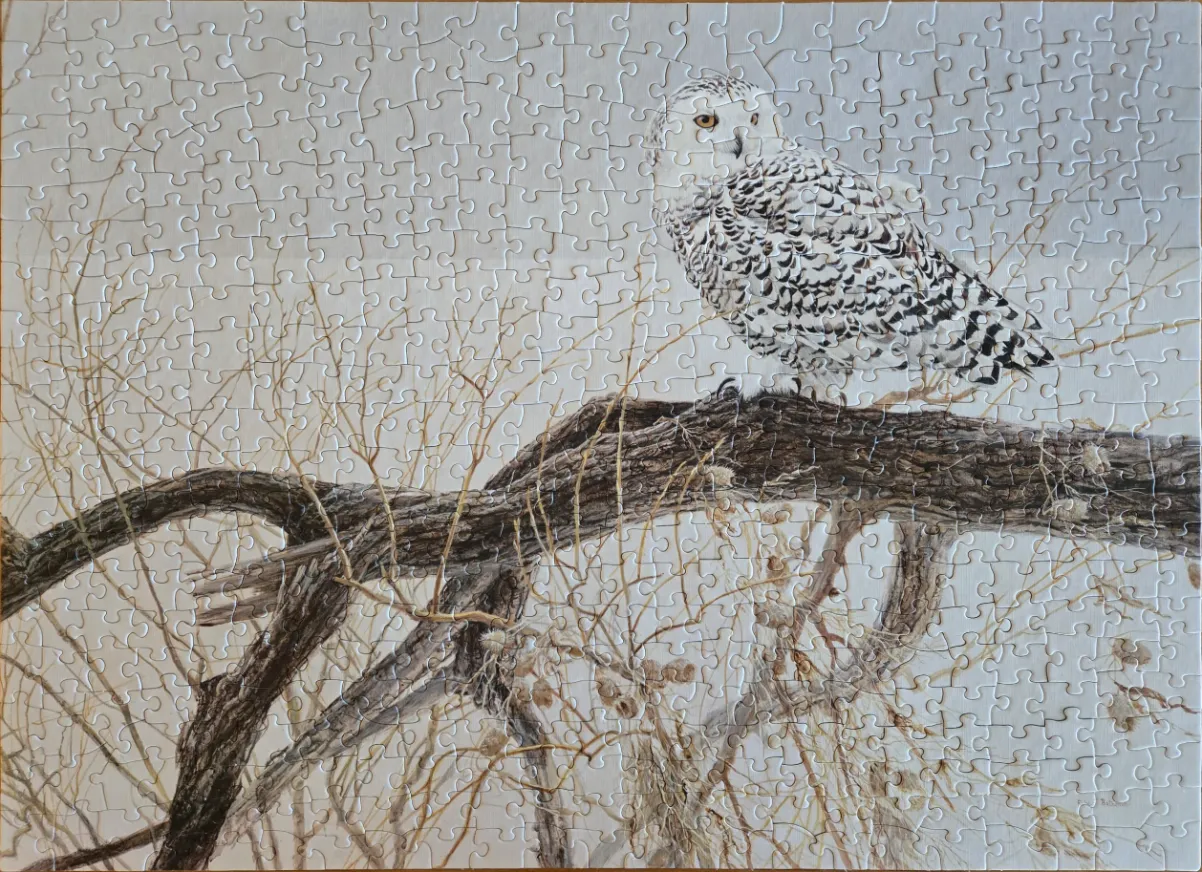 A snowy owl perched on a thick, dark tree branch against a pale, overcast sky.