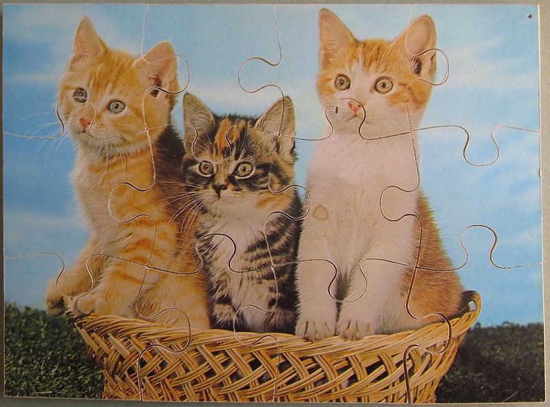 Three kittens sitting inside a wicker basket against a blue sky and grass background.