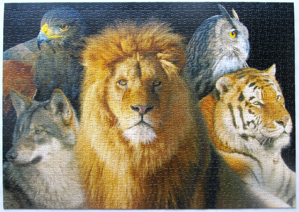 A group portrait of a lion, tiger, wolf, eagle, and owl against a stark black background.