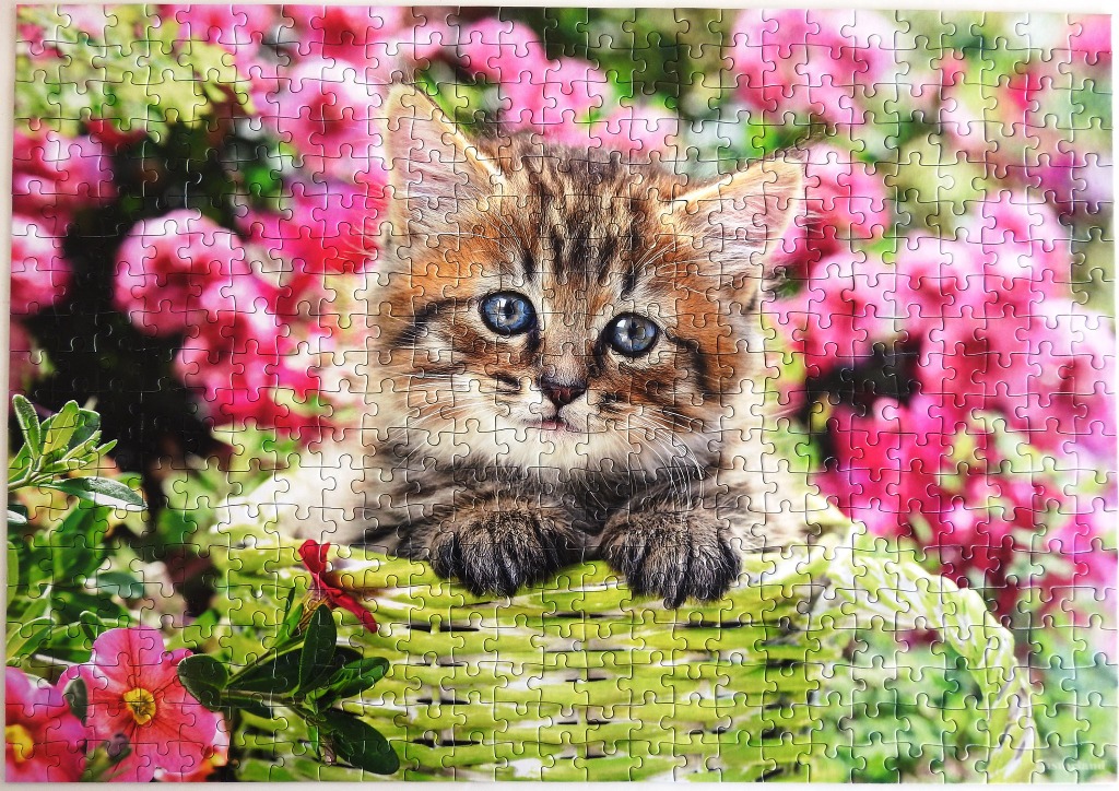 A fluffy tabby kitten with bright blue eyes sits inside a green wicker basket surrounded by pink flowers.