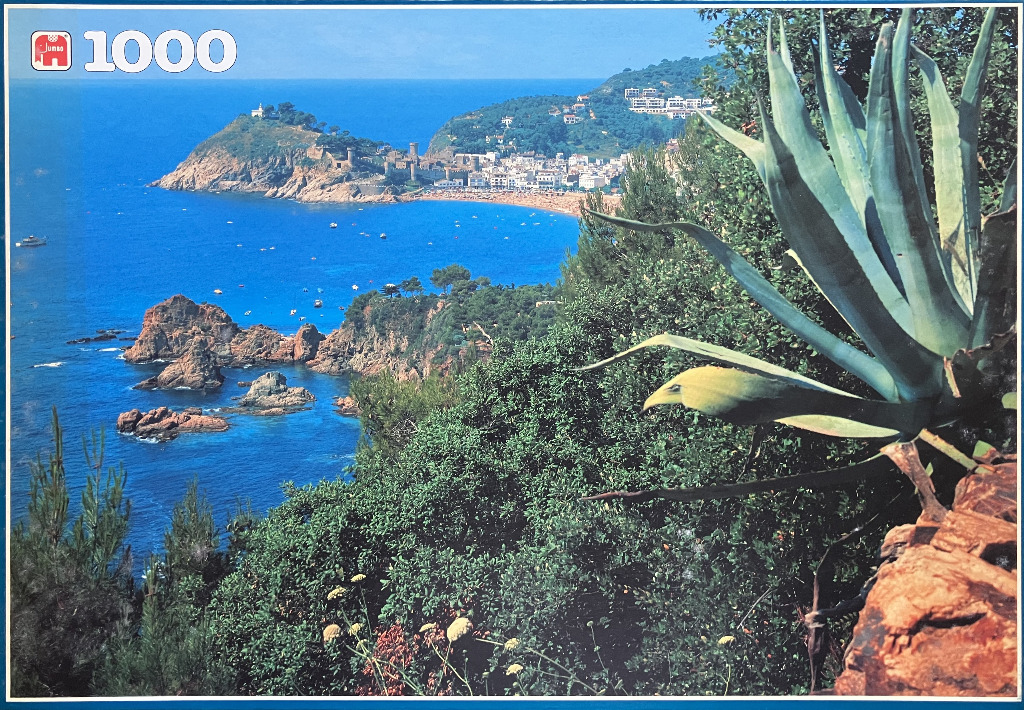 Coastal view of Tossa de Mar in Spain, featuring an agave plant in the foreground overlooking the blue Mediterranean Sea.