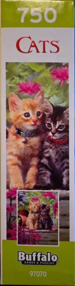 Tabbies