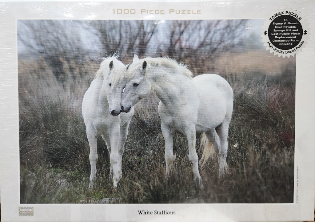 Two white horses standing together in a wild grassy field with their heads touching.