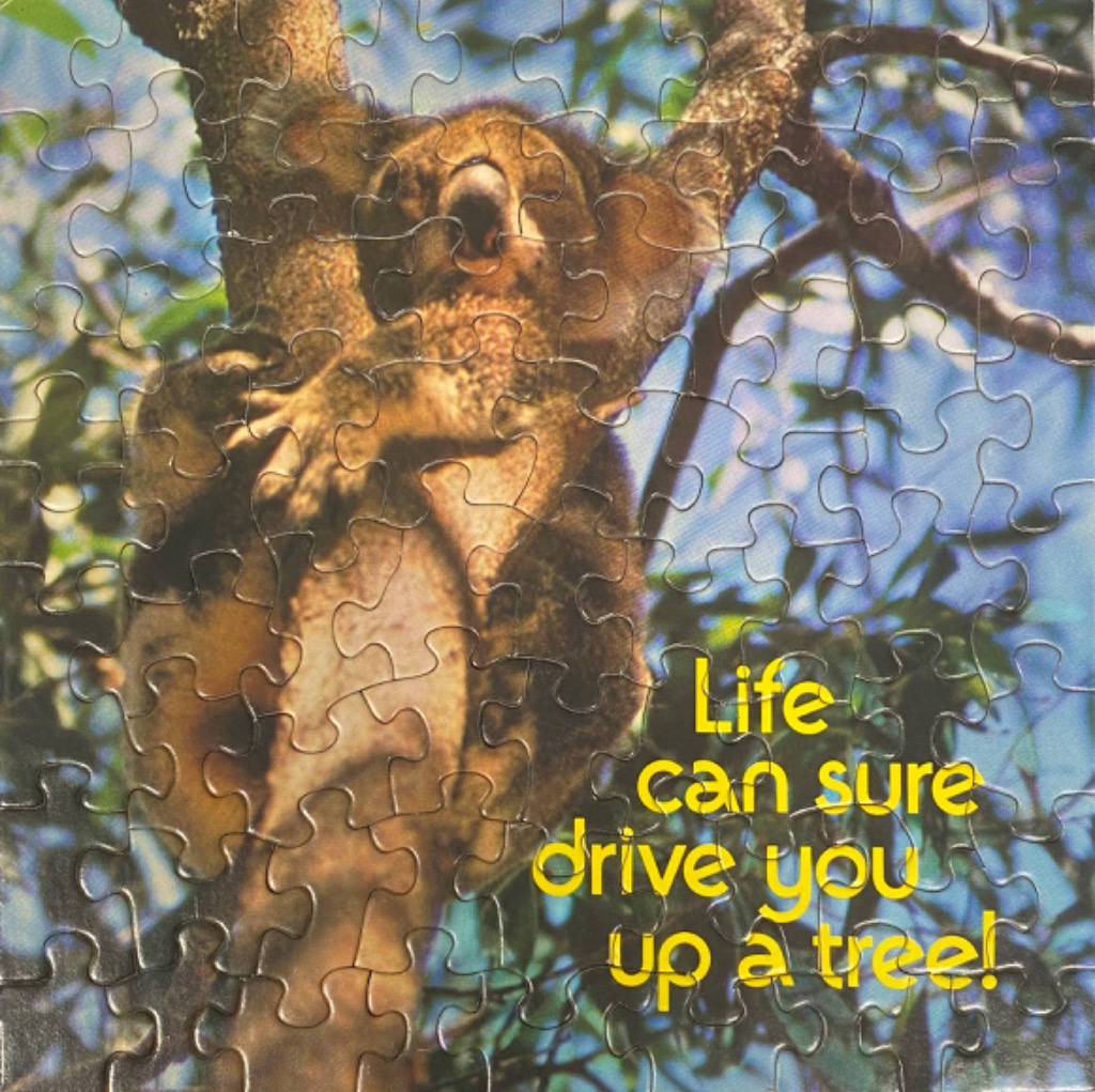 A koala yawning in a eucalyptus tree with the text 'Life can sure drive you up a tree!'