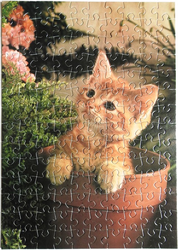 A small orange tabby kitten sitting inside a brown flower pot surrounded by green foliage and pink flowers.