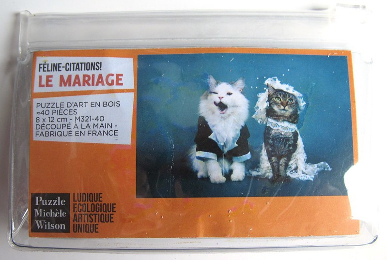 Two cats dressed for a wedding sitting against a blue background